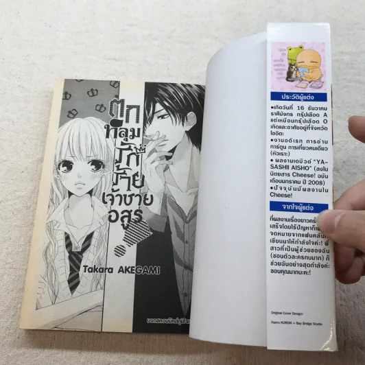 การ์ตูนรัก โรแมนติก สำนักพิมพ์บงกช เล่มเดียวจบ ขายเหมา 15 เล่ม รูปที่ 41
