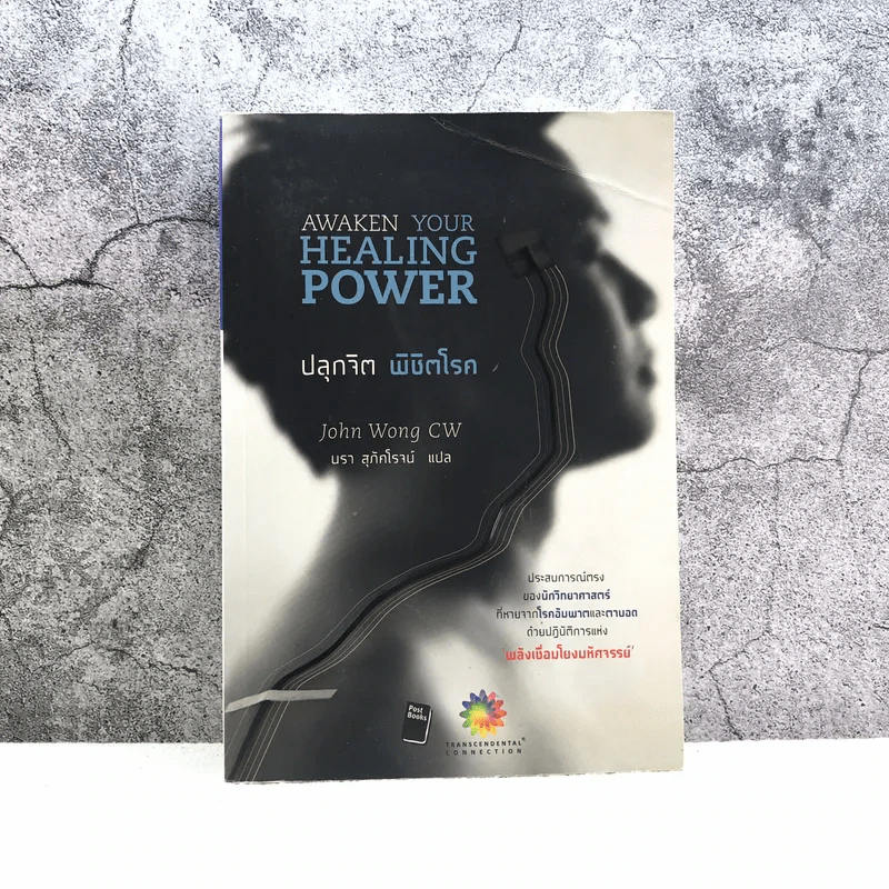ปลุกจิต พิชิตโรค Awaken Your Healing Power รูปที่ 1