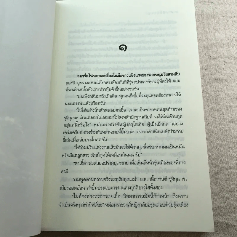 มณีดอกหญ้า - เจติยา รูปที่ 7