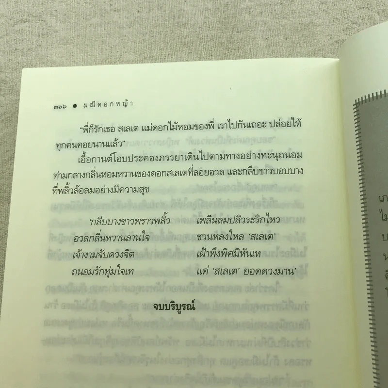 มณีดอกหญ้า - เจติยา รูปที่ 8