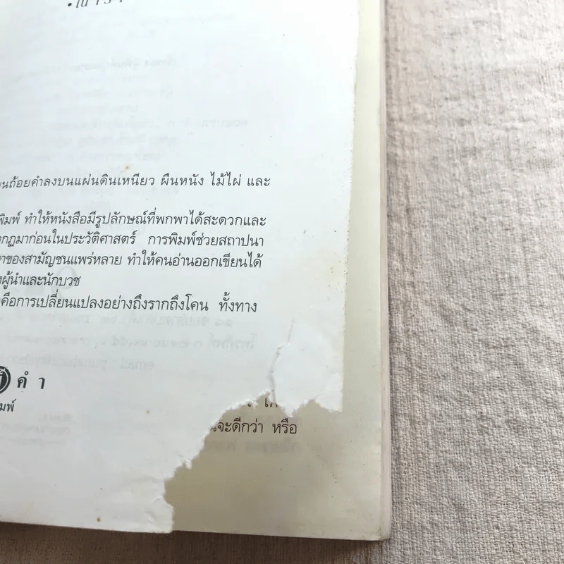 ปลาไหลป้ายแดง - ณารา รูปที่ 5
