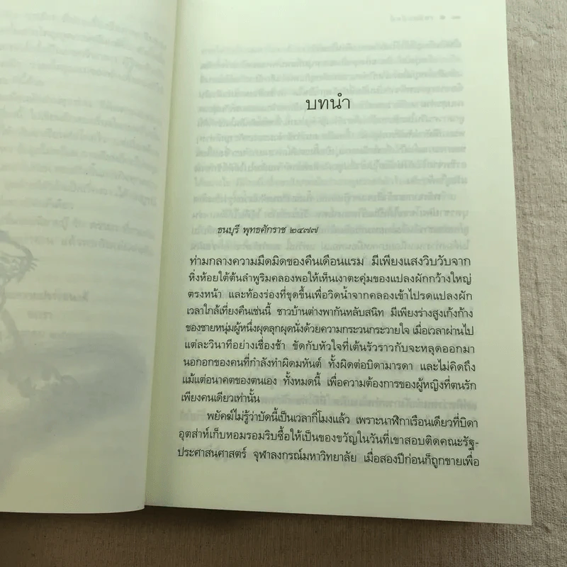ชุดเลือดทระนง เพลิงพยัคฆ์ - ณารา รูปที่ 12