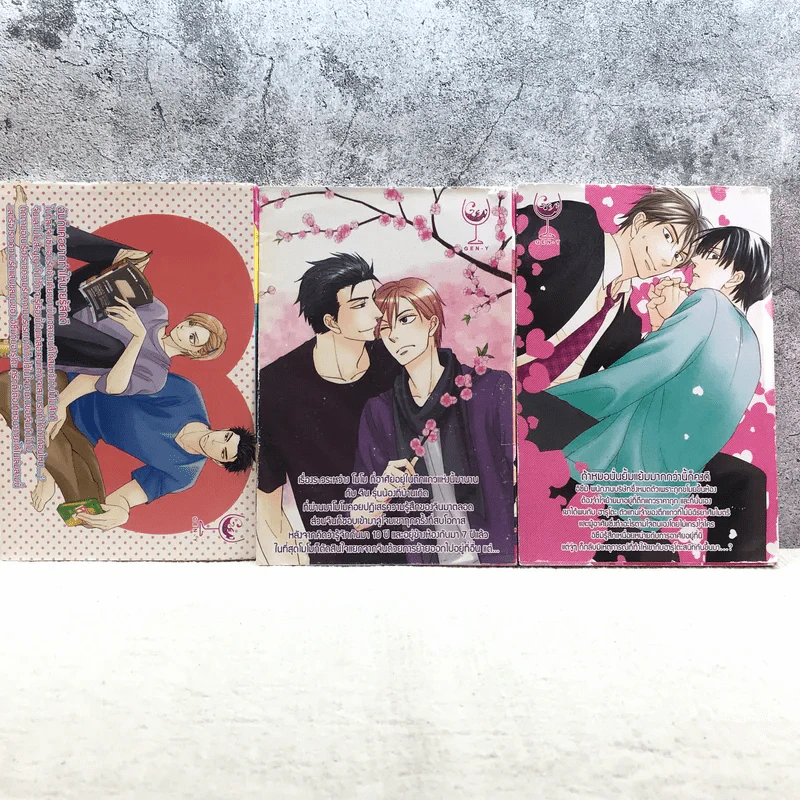 Hideaway for the Heart เล่ม 1-3 รูปที่ 6