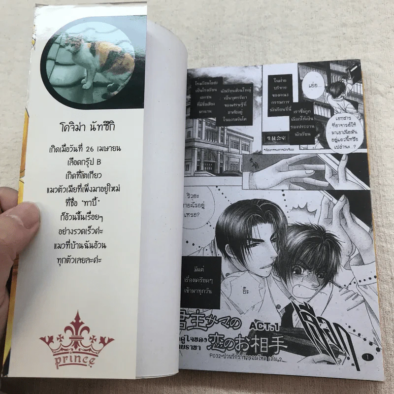 My King ป่วนรักราชาจอมโหด 2 เล่มจบ รูปที่ 7