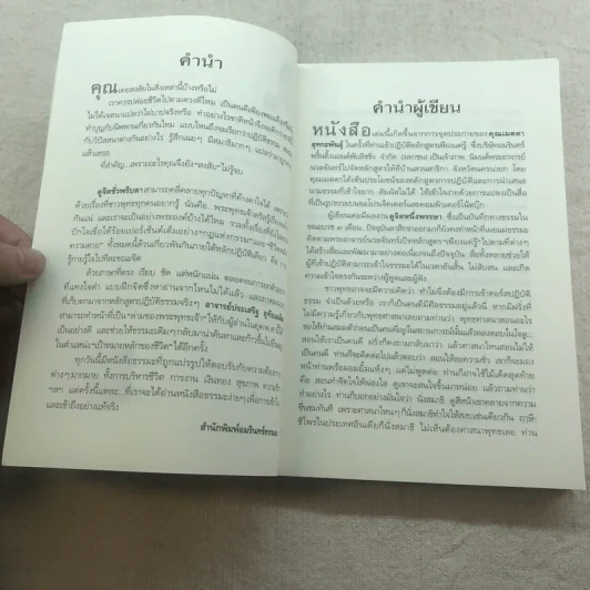 ดูจิตชั่วพริบตา - ปัญญาวโรภิกขุ (ประเสริฐ อุทัยเฉลิม) รูปที่ 8