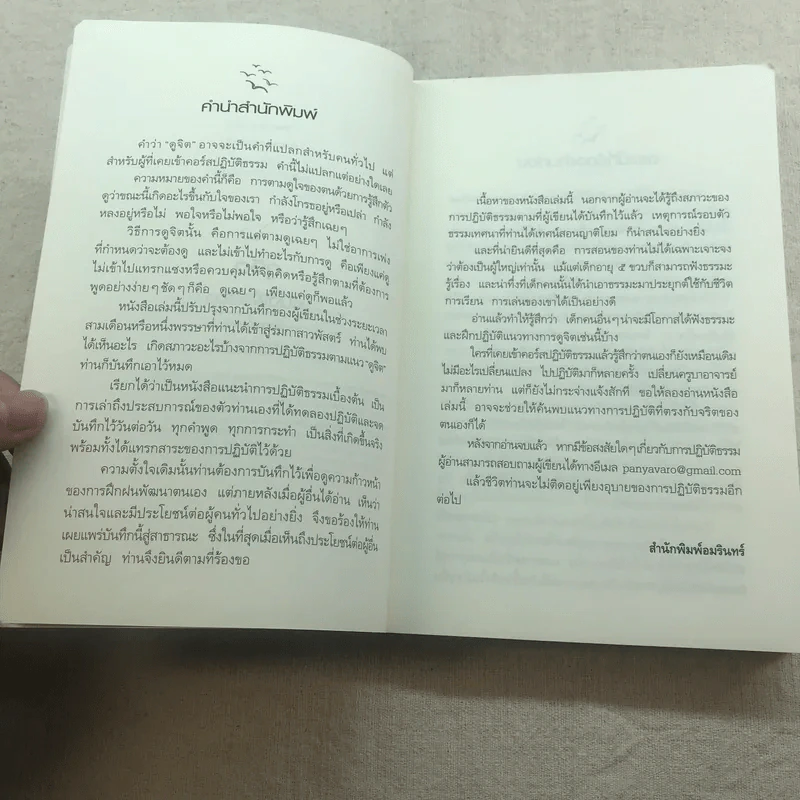 ดูจิตหนึ่งพรรษา - ปัญญาวโรภิกขุ รูปที่ 5