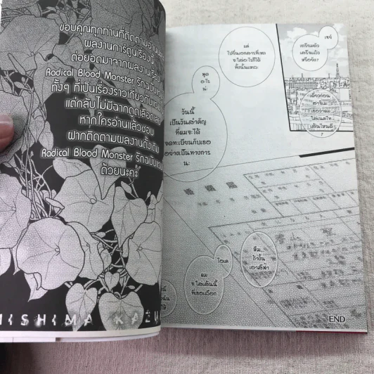 แวมไพร์บอดี้การ์ด - Kazuhiko Mishima รูปที่ 6