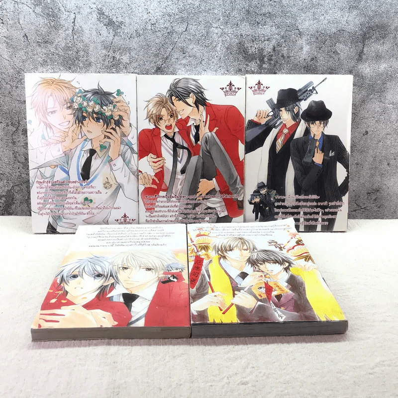 รักเธออย่าบอกใคร เล่ม 1-5 รูปที่ 6