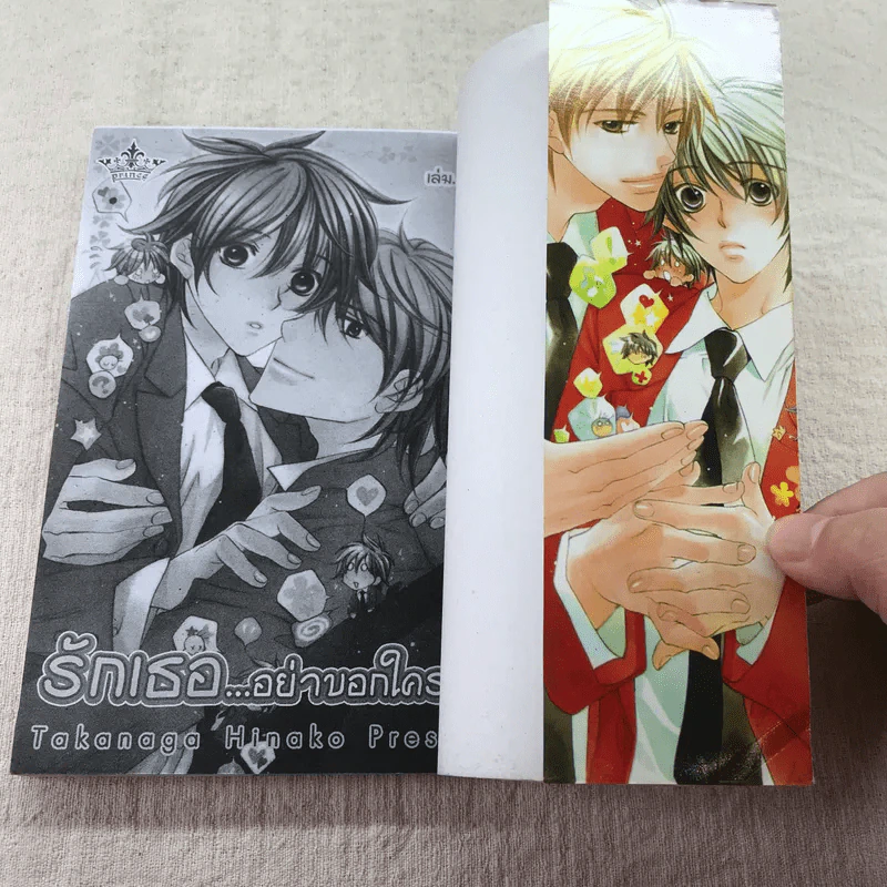 รักเธออย่าบอกใคร เล่ม 1-5 รูปที่ 17