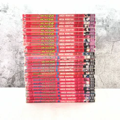 เปลวฟ้าผ่าปฐพี 33 เล่มจบ (ขาดเล่ม 1,9,10,11,12,13) รูปที่ 2