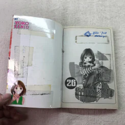 สาวแกร่งแรงเกินร้อย เล่ม 1-9,13,14,21-26,29-33 รูปที่ 48