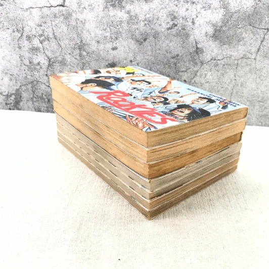 ROOKIES มือใหม่ไฟแรง เล่ม 5,16,20,21,22,23,24 รูปที่ 5