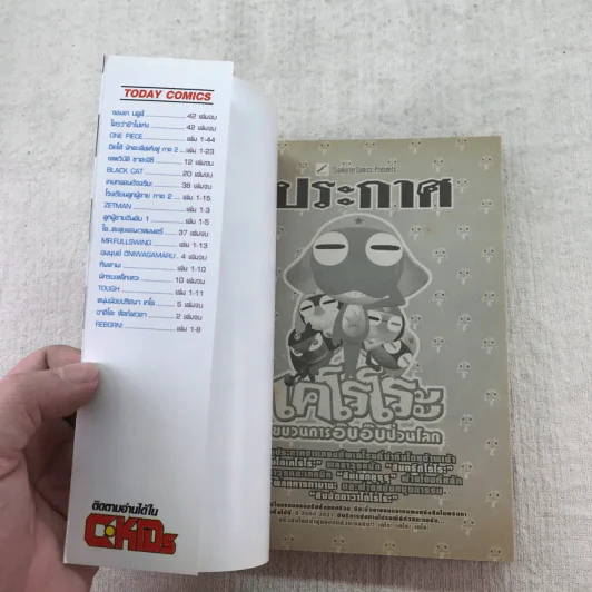 D.GRAY-MAN ดี.เกรย์ แมน เล่ม 1-18 รูปที่ 30