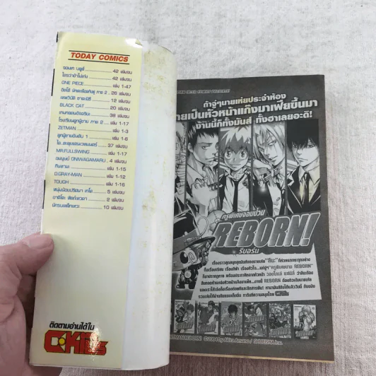 D.GRAY-MAN ดี.เกรย์ แมน เล่ม 1-18 รูปที่ 32