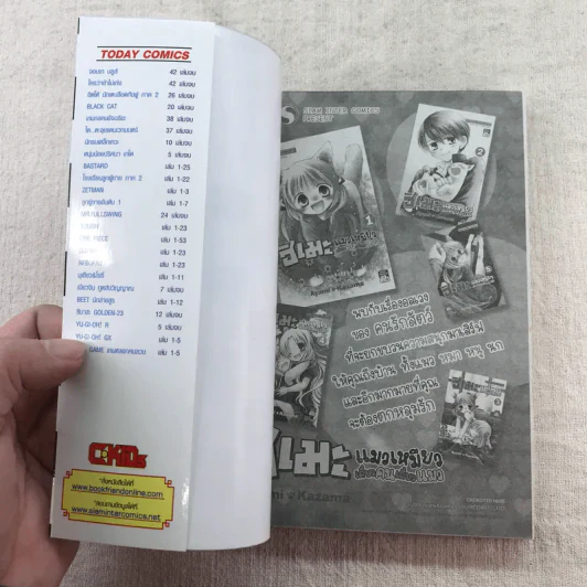 D.GRAY-MAN ดี.เกรย์ แมน เล่ม 1-18 รูปที่ 46