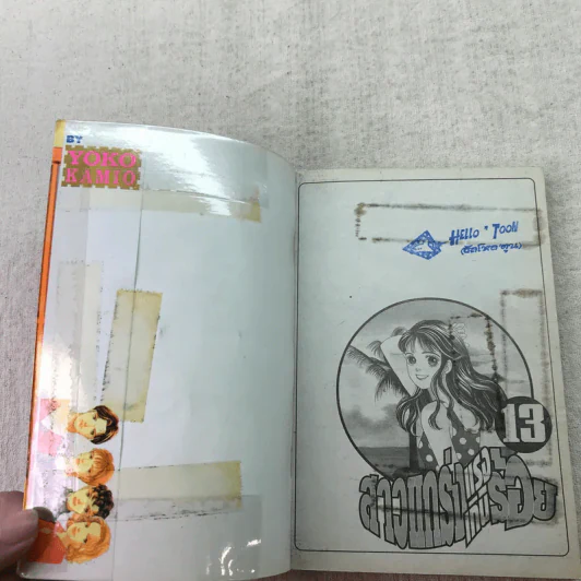 สาวแกร่งแรงเกินร้อย เล่ม 1-9,13,14,21-26,29-33 รูปที่ 35
