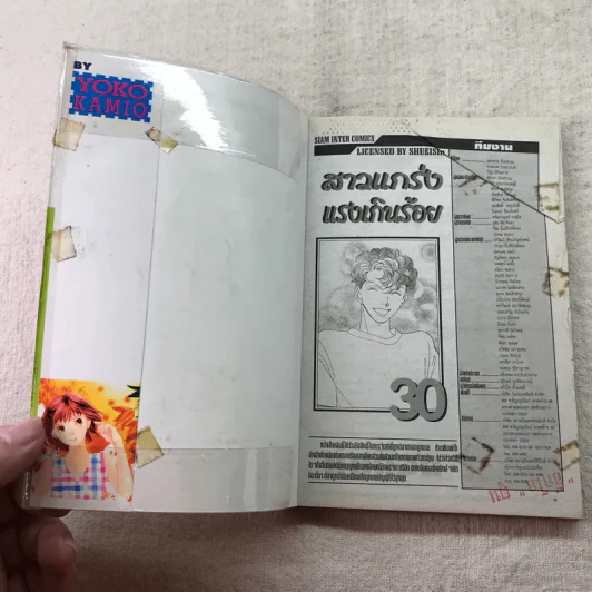 สาวแกร่งแรงเกินร้อย เล่ม 1-9,13,14,21-26,29-33 รูปที่ 52
