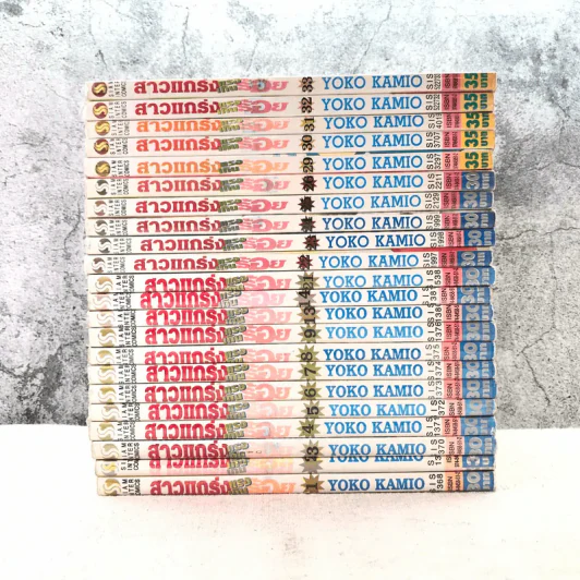 สาวแกร่งแรงเกินร้อย เล่ม 1-9,13,14,21-26,29-33 รูปที่ 2