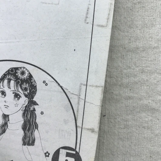 สาวแกร่งแรงเกินร้อย เล่ม 1-9,13,14,21-26,29-33 รูปที่ 25