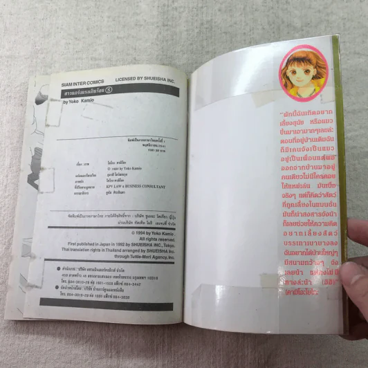 สาวแกร่งแรงเกินร้อย เล่ม 1-9,13,14,21-26,29-33 รูปที่ 32