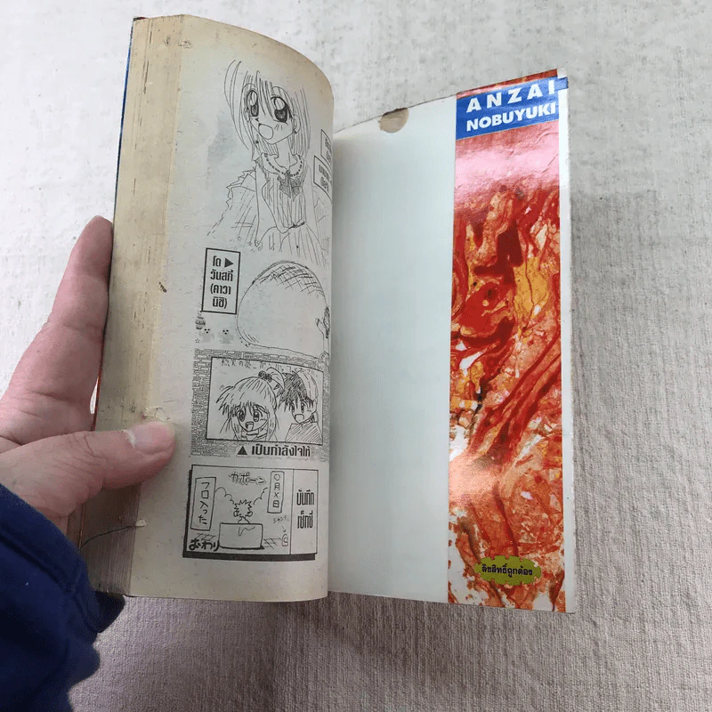 เปลวฟ้าผ่าปฐพี 33 เล่มจบ (ขาดเล่ม 1,9,10,11,12,13) รูปที่ 31