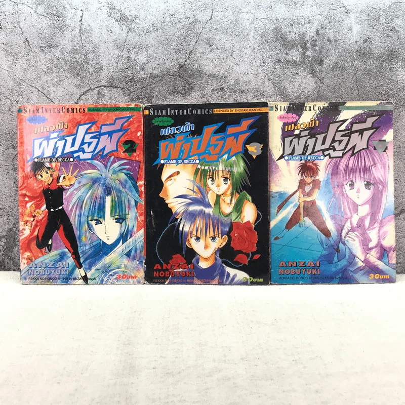 เปลวฟ้าผ่าปฐพี 33 เล่มจบ (ขาดเล่ม 1,9,10,11,12,13) รูปที่ 16