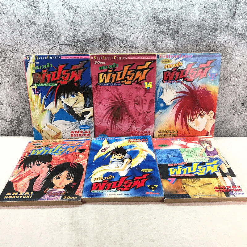 เปลวฟ้าผ่าปฐพี 33 เล่มจบ (ขาดเล่ม 1,9,10,11,12,13) รูปที่ 14