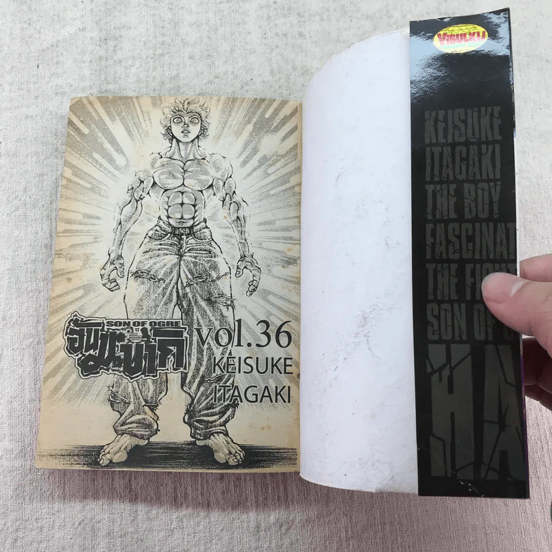 ฮันมะบากิ Son of Ogre เล่ม 16,28,36,37 รูปที่ 12