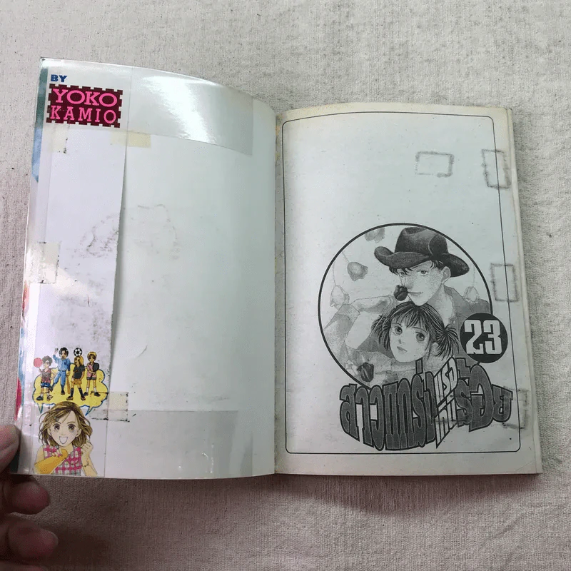 สาวแกร่งแรงเกินร้อย เล่ม 1-9,13,14,21-26,29-33 รูปที่ 42