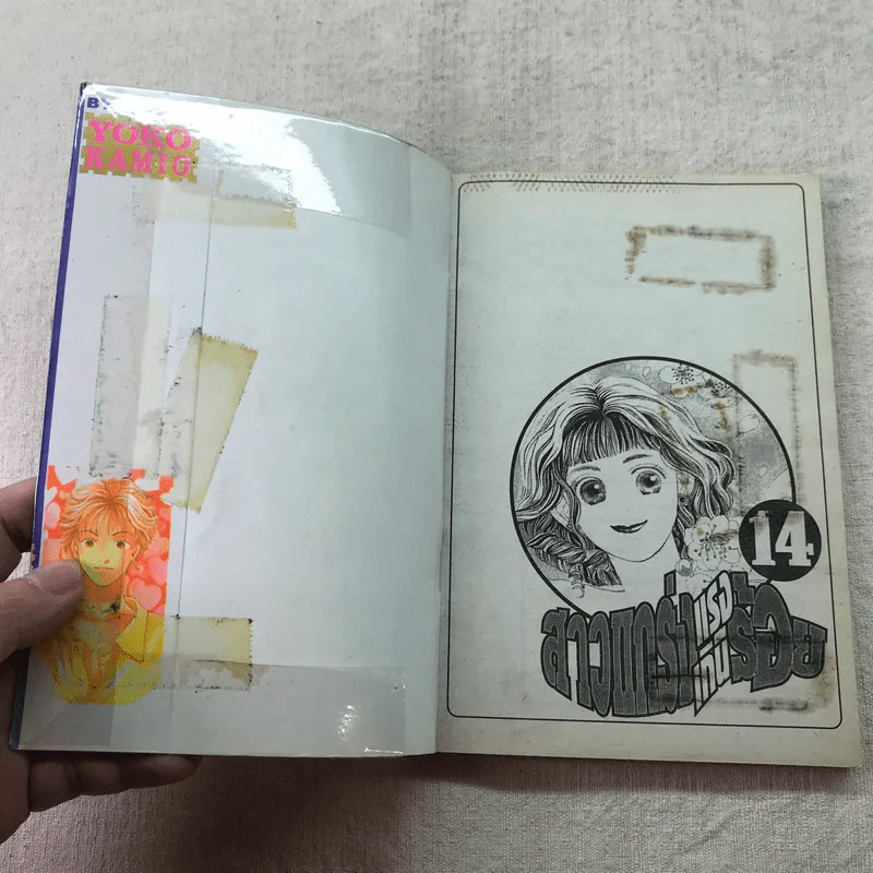สาวแกร่งแรงเกินร้อย เล่ม 1-9,13,14,21-26,29-33 รูปที่ 37