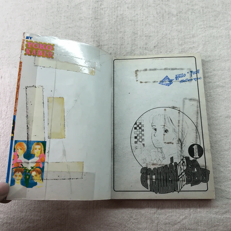 สาวแกร่งแรงเกินร้อย เล่ม 1-9,13,14,21-26,29-33 รูปที่ 16