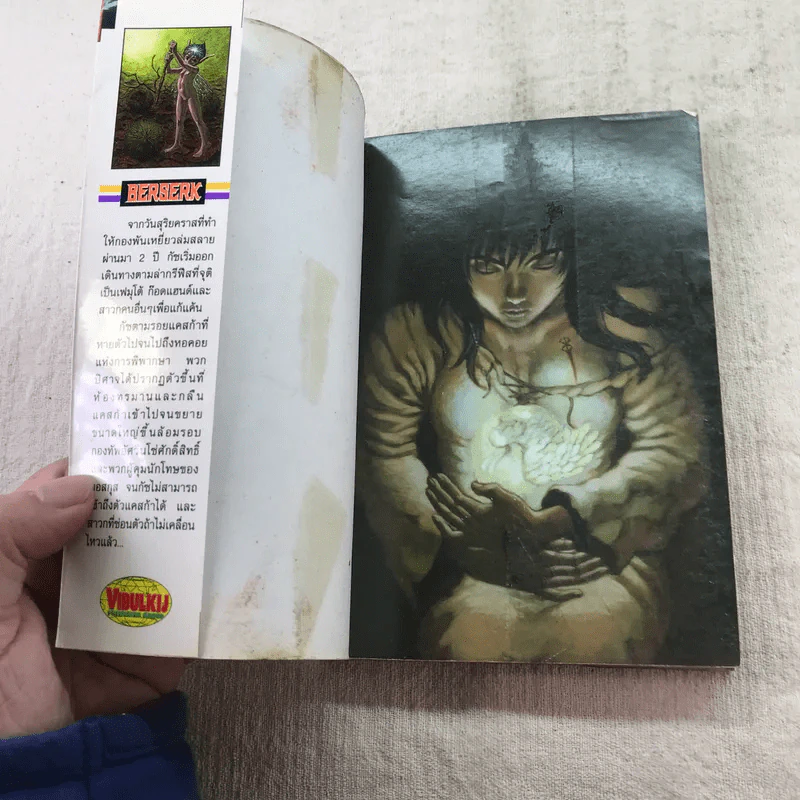 Berserk เล่ม 20,22,23,25,26,27,31,34 รูปที่ 24
