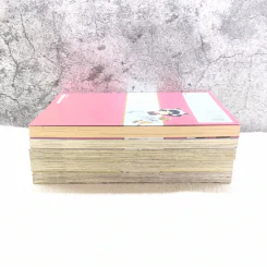 MARIA HOLIC มาเรีย+โฮลิค เล่ม 5-9 รูปที่ 3