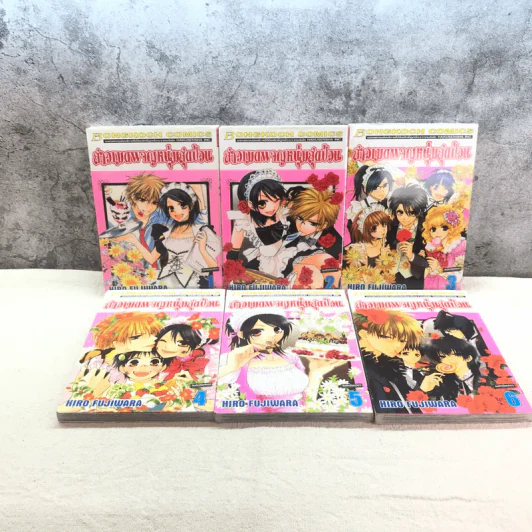 สาวเมดผจญหนุ่มสุดป่วน เล่ม 1-6 รูปที่ 6