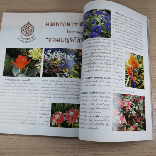 แพรว ปีที่ 26 ฉบับที่ 618 พ.ค.2548 แหม่ม คัทลียา รูปที่ 15