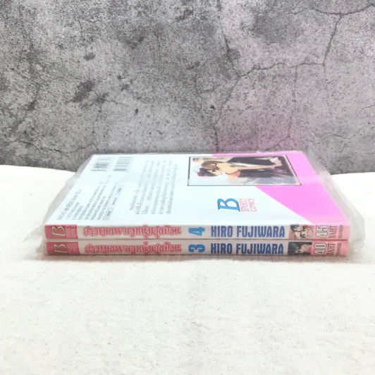 สาวเมดผจญหนุ่มสุดป่วน เล่ม 3-4 รูปที่ 2