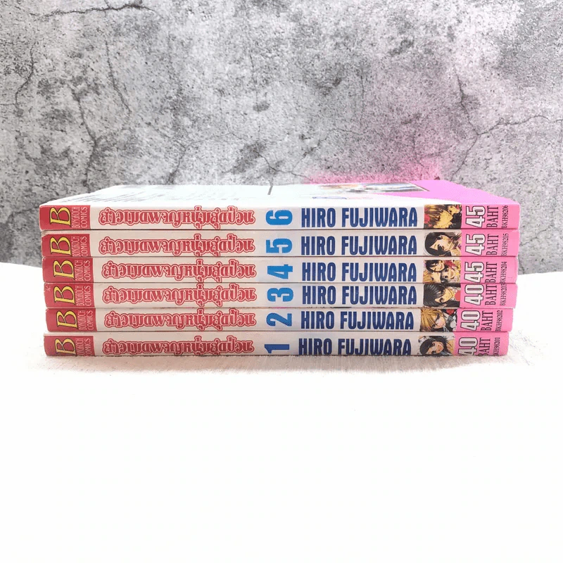 สาวเมดผจญหนุ่มสุดป่วน เล่ม 1-6 รูปที่ 2