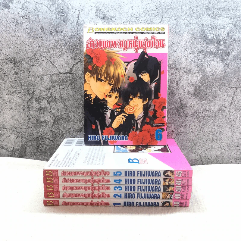 สาวเมดผจญหนุ่มสุดป่วน เล่ม 1-6 รูปที่ 1