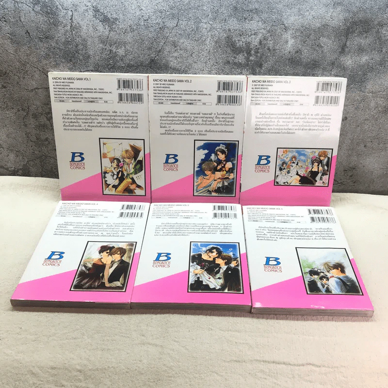 สาวเมดผจญหนุ่มสุดป่วน เล่ม 1-6 รูปที่ 7