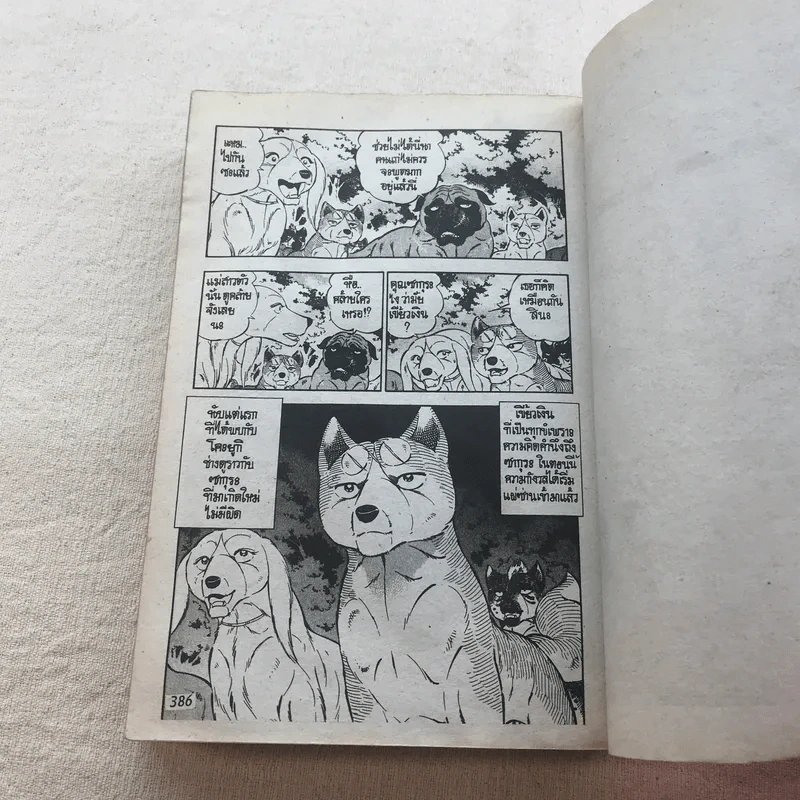 ตำนานไอ้เขี้ยวเงิน Weed ภาค 2 เล่ม 6,7,11,12,16,18 รูปที่ 11
