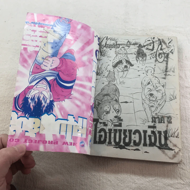 ตำนานไอ้เขี้ยวเงิน Weed ภาค 2 เล่ม 6,7,11,12,16,18 รูปที่ 20