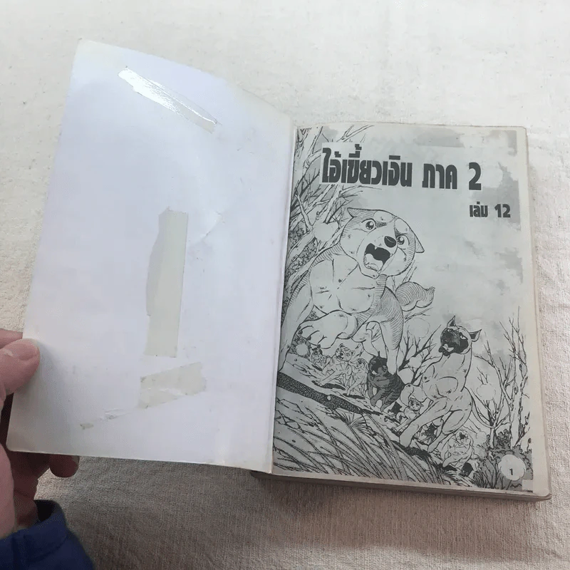 ตำนานไอ้เขี้ยวเงิน Weed ภาค 2 เล่ม 6,7,11,12,16,18 รูปที่ 14