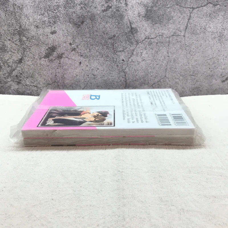 สาวเมดผจญหนุ่มสุดป่วน เล่ม 3-4 รูปที่ 3