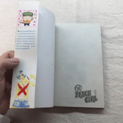 Peach Girl นอกรอบ เล่ม 1 รูปที่ 4