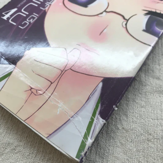ฉันนี่ล่ะ สวย เลิศ เชิด สมบูรณ์แบบ เล่ม 4 รูปที่ 4