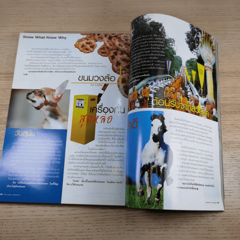 แพรว ปีที่ 31 ฉบับที่ 726 พ.ย.2552 AF6 รูปที่ 15