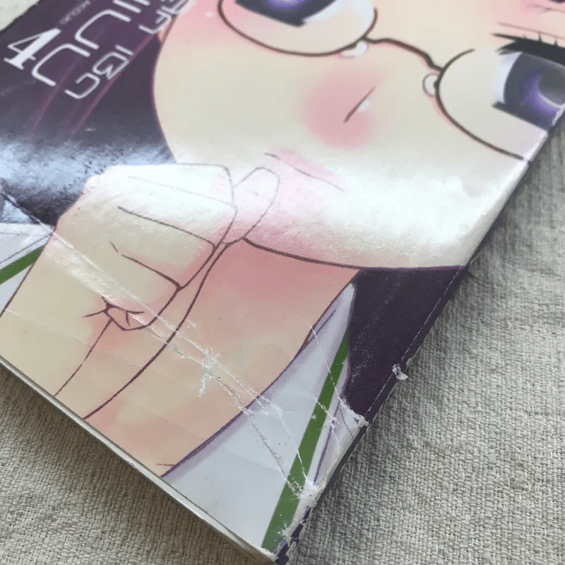 ฉันนี่ล่ะ สวย เลิศ เชิด สมบูรณ์แบบ เล่ม 4 รูปที่ 4
