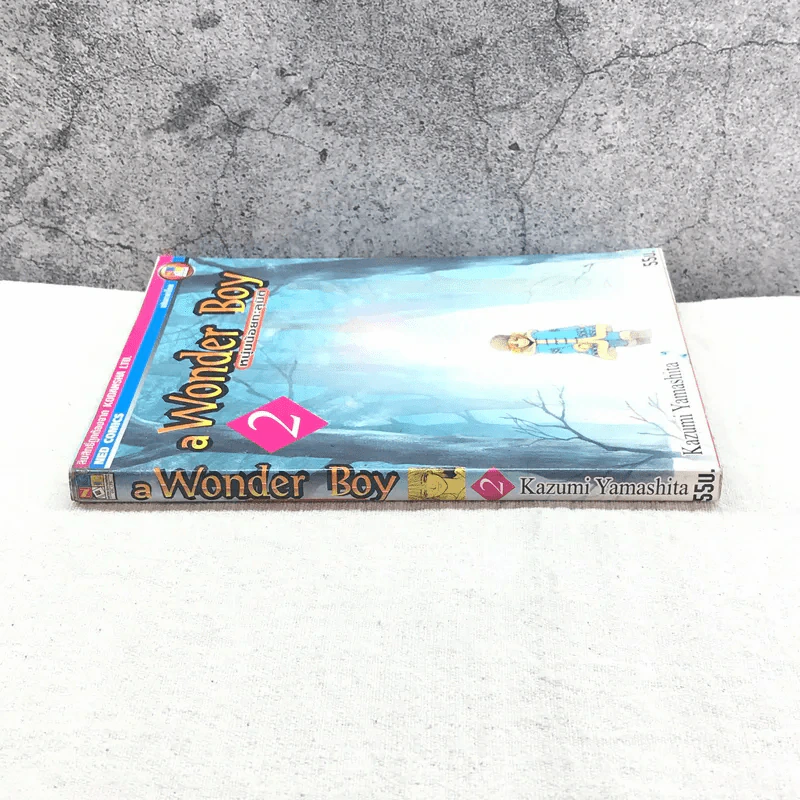 A Wonder Boy หนุ่มน้อยทะลุมิติ เล่ม 2 รูปที่ 2
