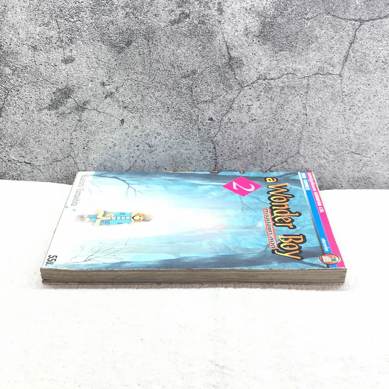 A Wonder Boy หนุ่มน้อยทะลุมิติ เล่ม 2 รูปที่ 3
