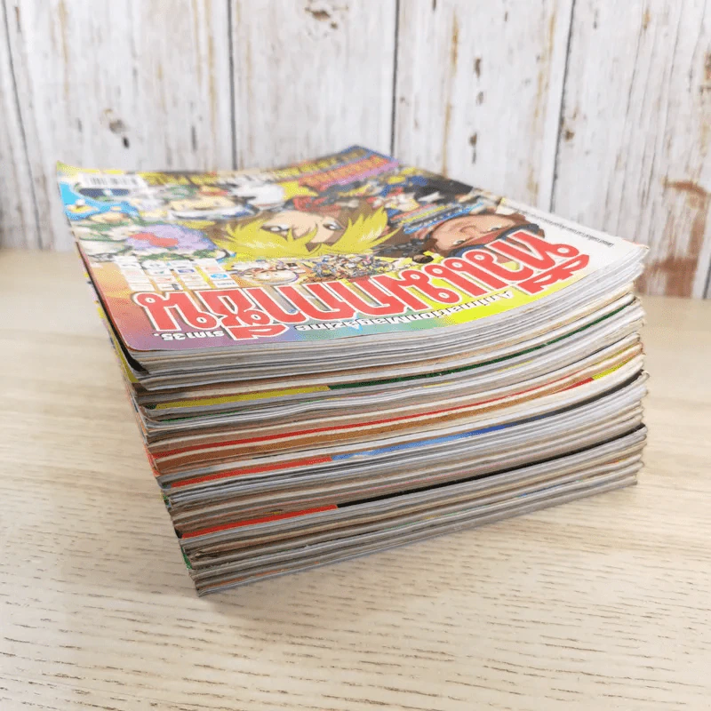 นิตยสาร GameMag, ทีวีแม็กกาซีน, Mega รูปที่ 5